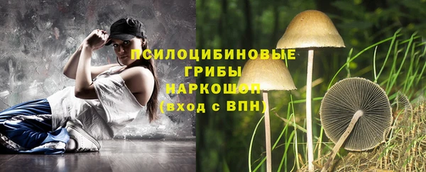прущие крисы Богданович