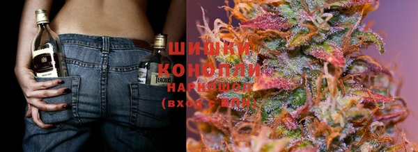 прущие крисы Богданович