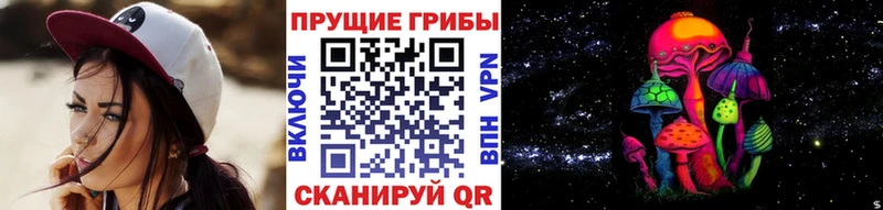 Псилоцибиновые грибы Cubensis  даркнет сайт  Томари 